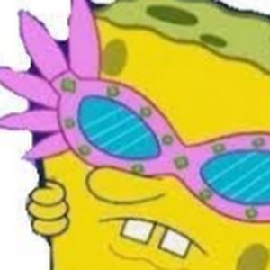 Meet your Posher, Izzy